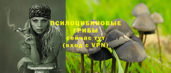 PSILOCYBIN Вяземский