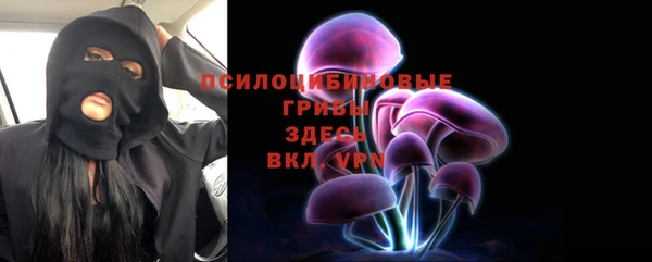 прущий лед Горняк
