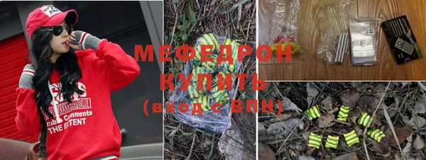 PSILOCYBIN Вяземский