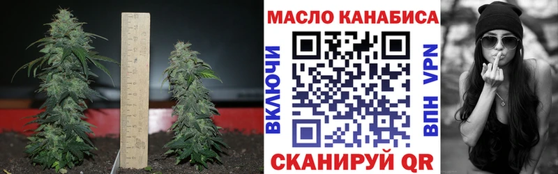 ТГК вейп с тгк  Петропавловск-Камчатский 